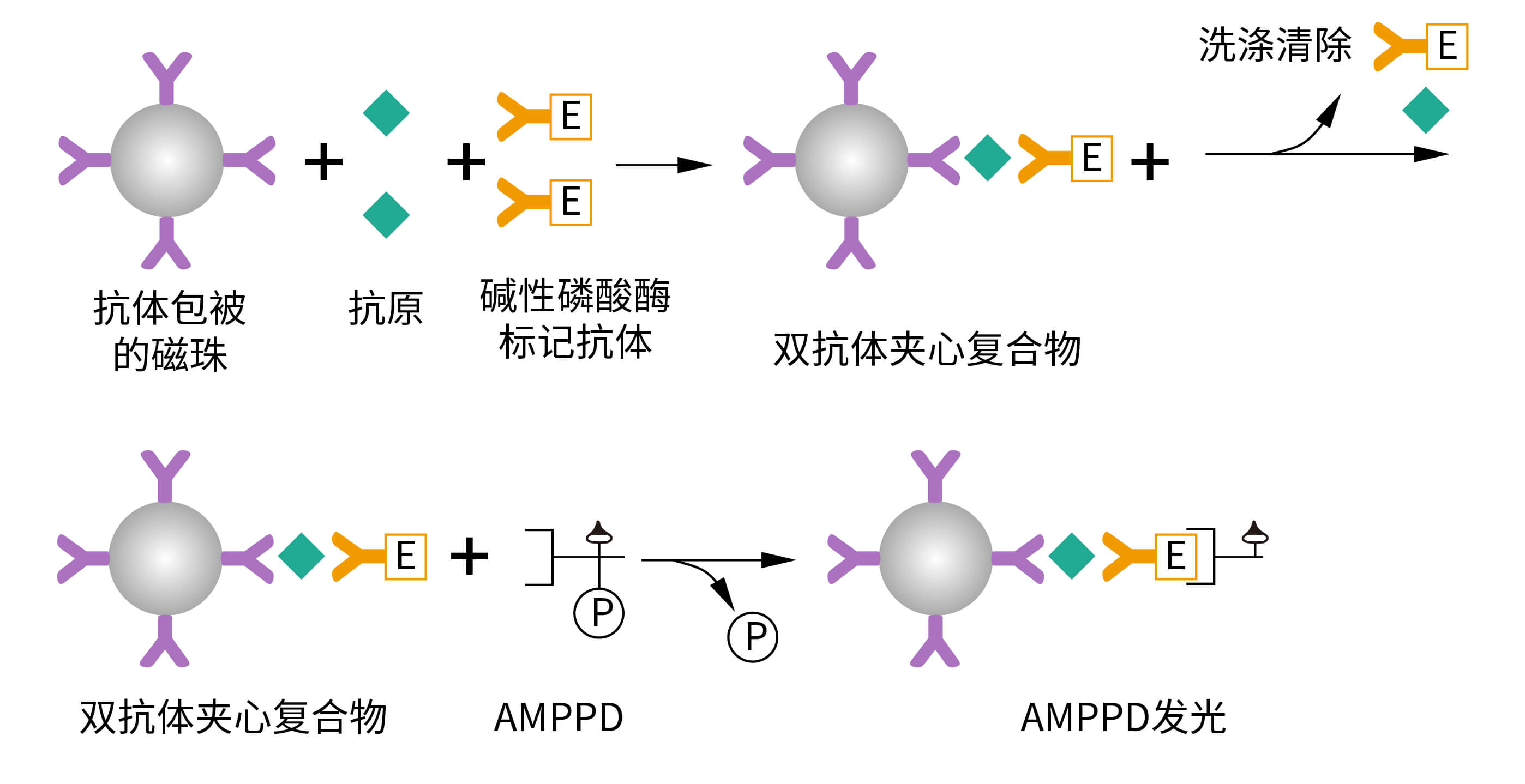 ALP+AMPPD發光體系