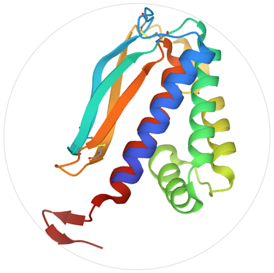 猴痘抗原A29L、A35R、B6R、M1R介紹