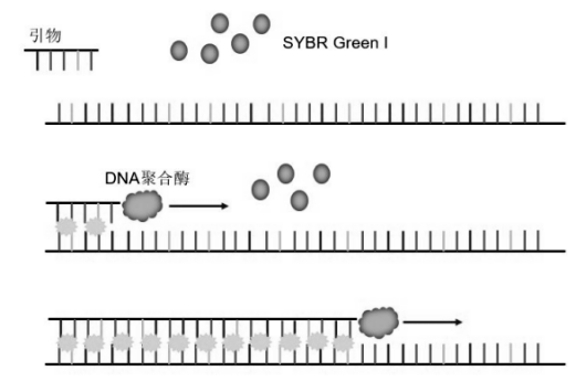 染料法發光原理