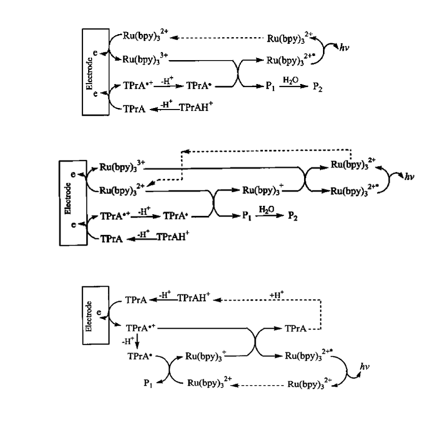 還原氧化型ECL的三種反應過程 還原氧化型ECL的三種反應過程