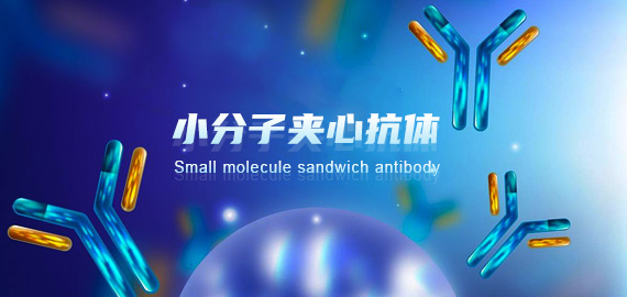 南京歐凱生物成功突破小分子夾心抗體技術開發壁壘!!!