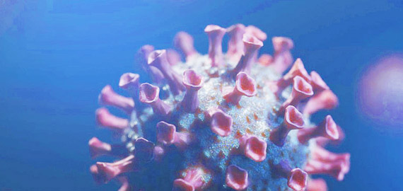 HBP高親和兔單抗，助力IVD備戰COVID-19重癥高峰