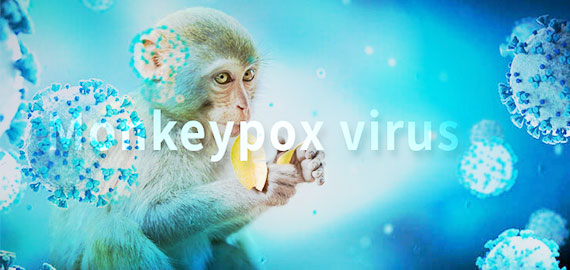 SingleB猴痘項目大顯身手，近100株抗體火速上新！