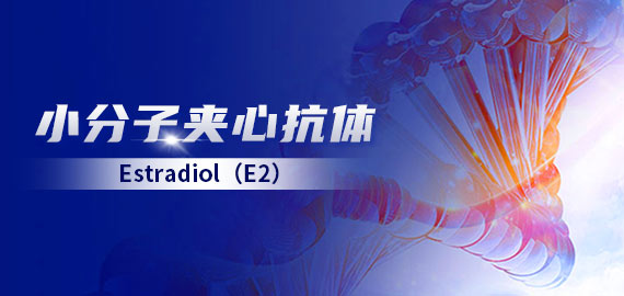 【小分子夾心】雌二醇（E2）夾心抗體在發光及層析平臺的應用