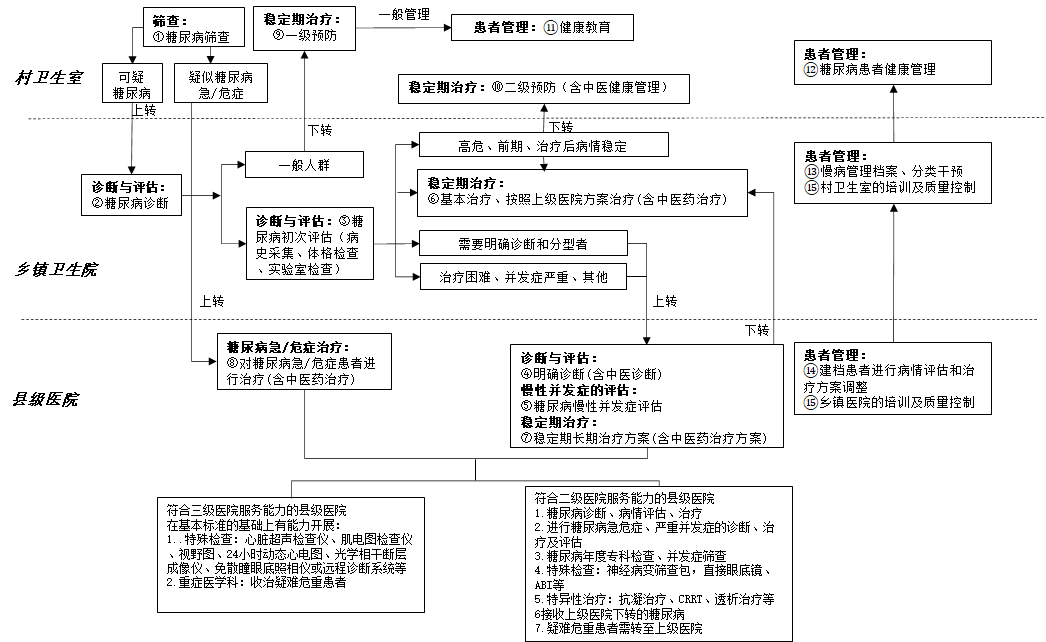 縣域糖尿病分級(jí)診療臨床路徑