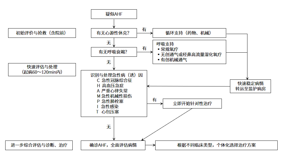 AHF患者初始評估和緊急處置流程