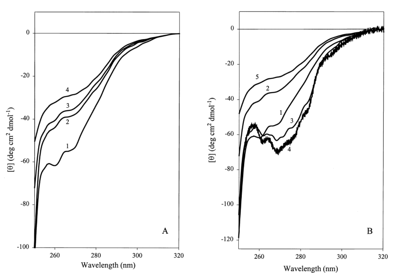 AFP的近紫外CD光譜